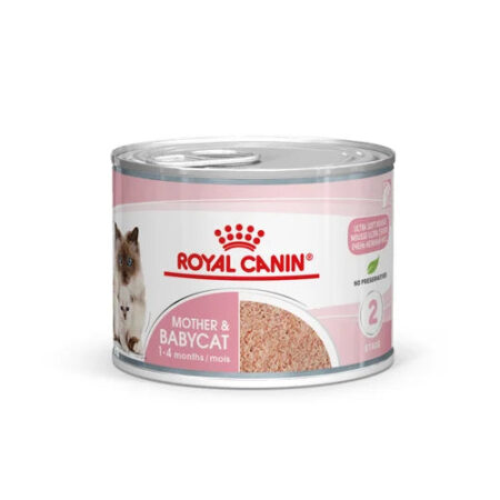 Royal Canin Aliment Humide Chat Mother & Babycat Mousse pour chatte et chaton 195 G