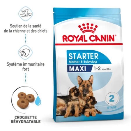 Royal Canin Aliment Sec Chien Maxi Starter Mother & Babydog