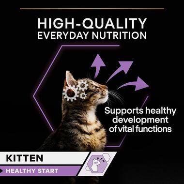 4176-proplan-wet-turkey-gravy-05-teaser.jpg