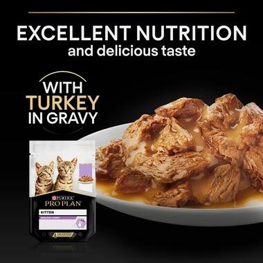 4176-proplan-wet-turkey-gravy-06-teaser.jpg