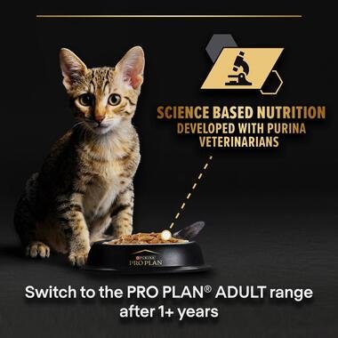 4176-proplan-wet-turkey-gravy-09-teaser.jpg