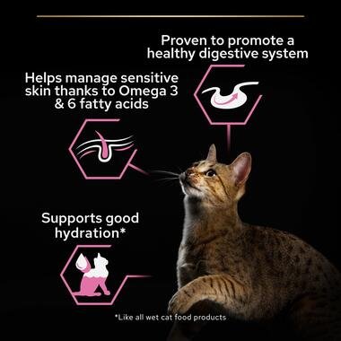 4201-proplan-wet-ocean-fish-03-teaser.jpg