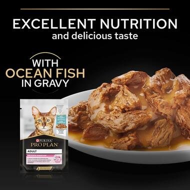 4201-proplan-wet-ocean-fish-05-teaser.jpg