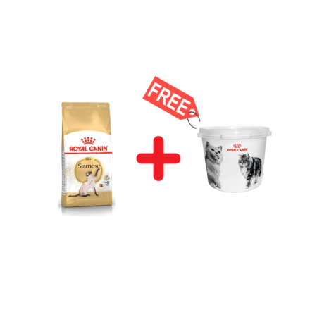 Royal Canin Aliment Sec pour Chat Siamois Adulte 2 Kg + Baril Offert