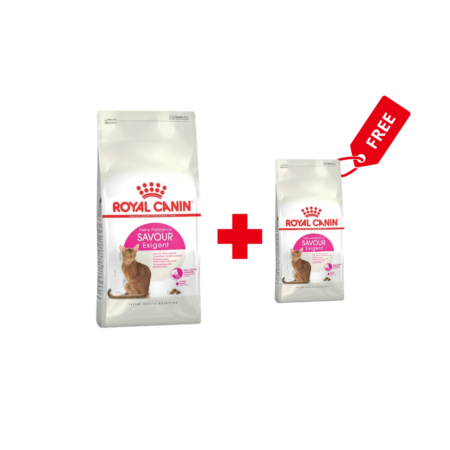 Royal Canin Aliment Sec pour Chat Fussy Exigent 2 Kg + 400 G Offerts