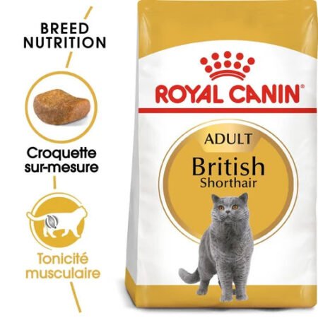 Royal Canin Aliment Sec pour Chat British Shorthair Adulte 2 Kg