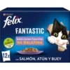 Felex-Fantastic-selection-favoris-100x100-1.webp