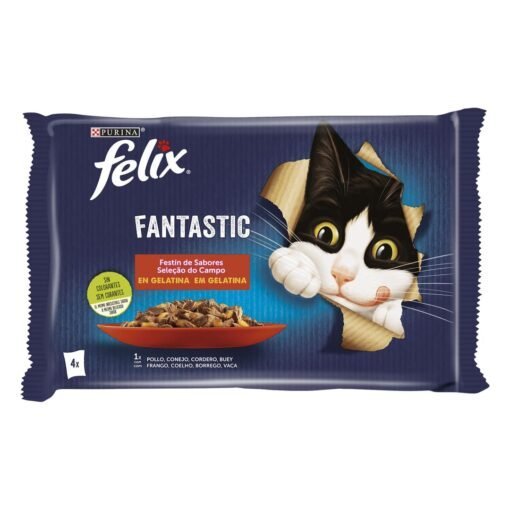 Felix-fantastic-poulet-boeuf-510x510-1.jpg