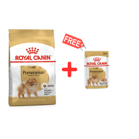 Royal Canin Aliment Sec Chien Spitz Nain Adult + 1 Pochons Offerts