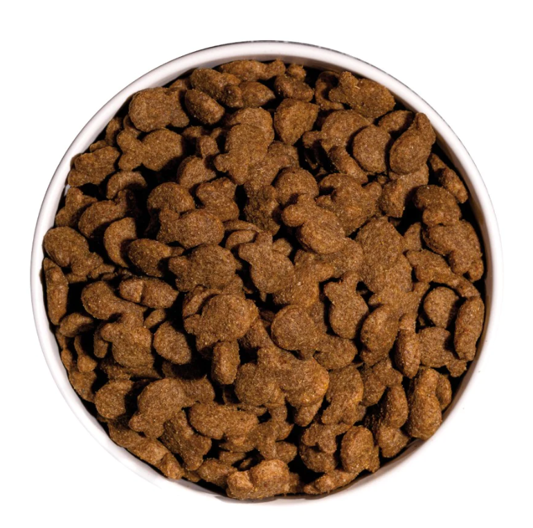 Ownat-classic-dog-fish-3.png