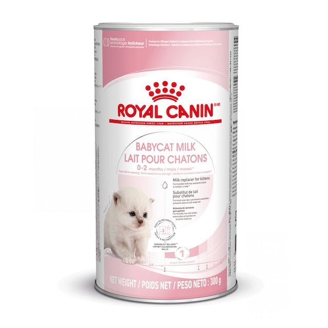 babycat-milk-fr-be.jpg