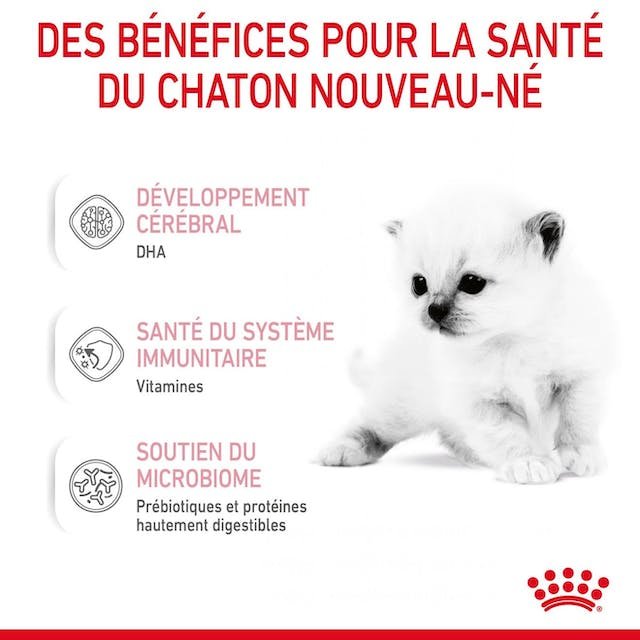 babycat-milk-fr-be_1.jpg