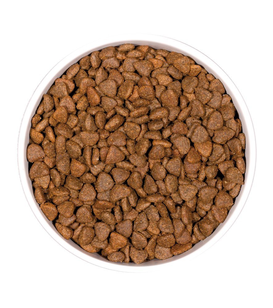 ow-grain-free-prime-kitten-platoadl.jpg