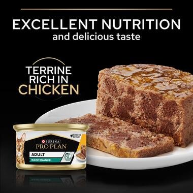 purina_pro_plan_adult_maintenance_wet_cat_food_terrine_rich_in_chicken_2.jpg
