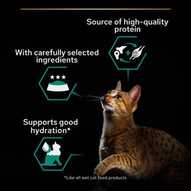 purina_pro_plan_adult_maintenance_wet_cat_food_terrine_rich_in_chicken_3.jpg