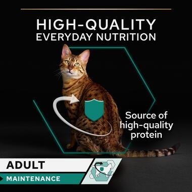 purina_pro_plan_adult_maintenance_wet_cat_food_terrine_rich_in_chicken_4.jpg