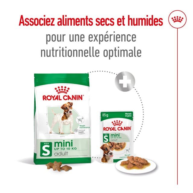 rc-shn-miniadult-pork-cv-5-fr-fr-pdf.jpg