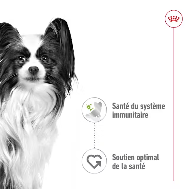 rc-shn-x-smalladult-pouch-morselsingravy-cv-1-fr-fr-pdf.png