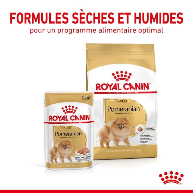 rc-spt-wet-pomad-cv-3-fr-fr.jpg
