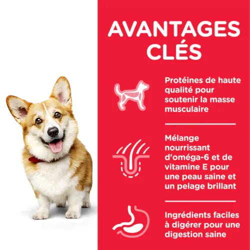 sp-canine-science-plan-adult-small-and-miniature-chicken-turkey-dry-productSpotlight1_500.jpg