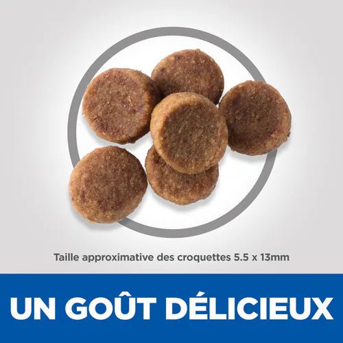 sp-canine-science-plan-puppy-healthy-development-large-breed-chicken-dry-productKibble_500.jpg