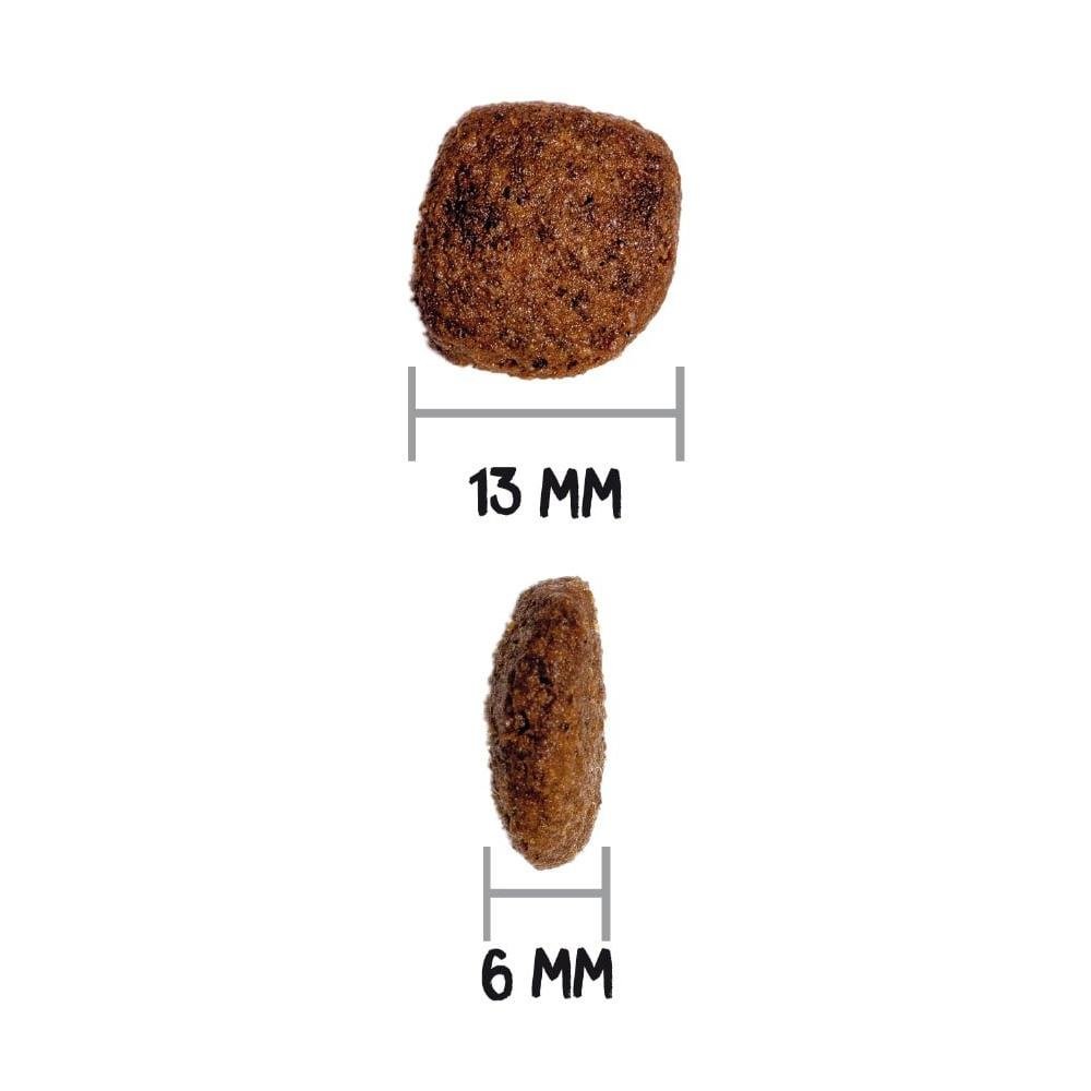 squared_ownat_image_3.jpg
