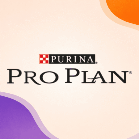 Pro Plan